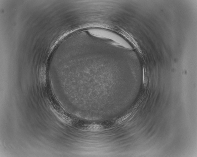 X0000085780204200704131837