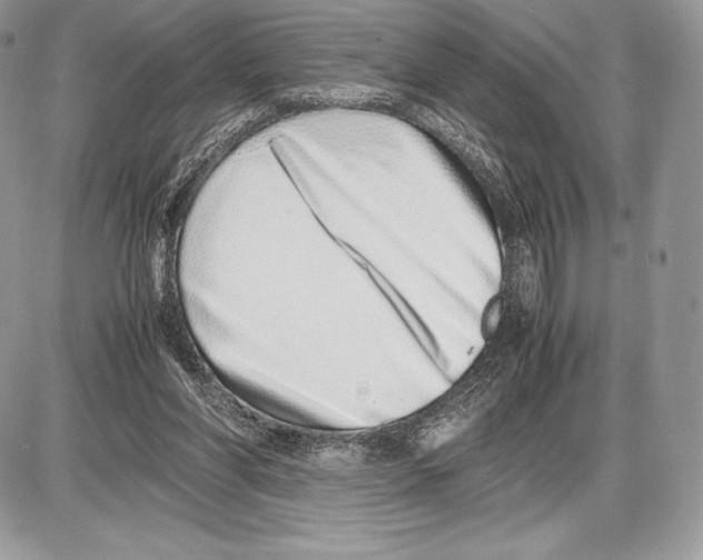 X0000085780206200704131837