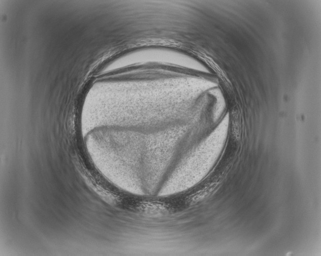 X0000085780207200704131837