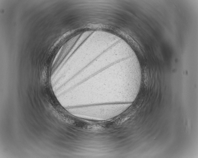 X0000085780208200704131837