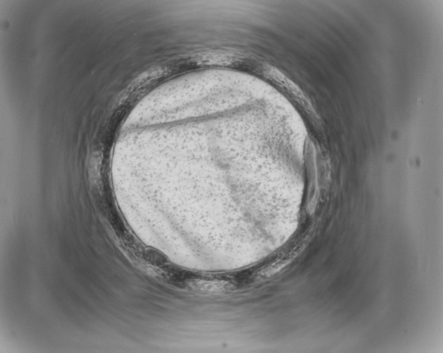 X0000085780209200704131837