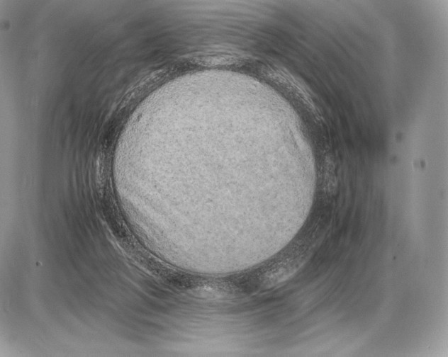 X0000085780210200704131837