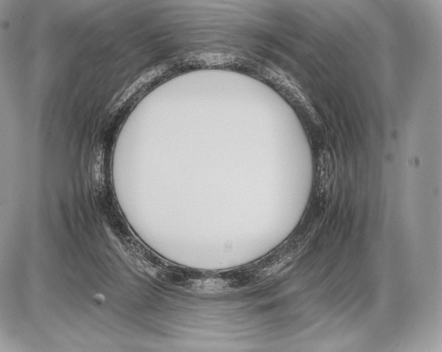 X0000085780212200704131837