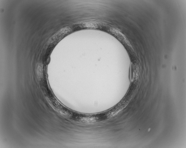 X0000085780213200704131837