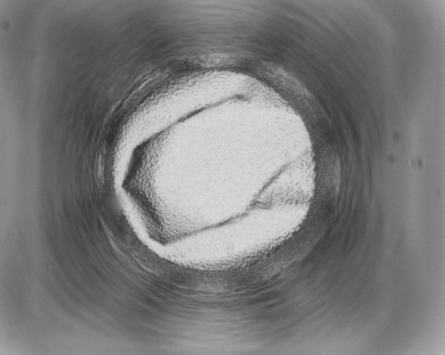 X0000085780214200704131837