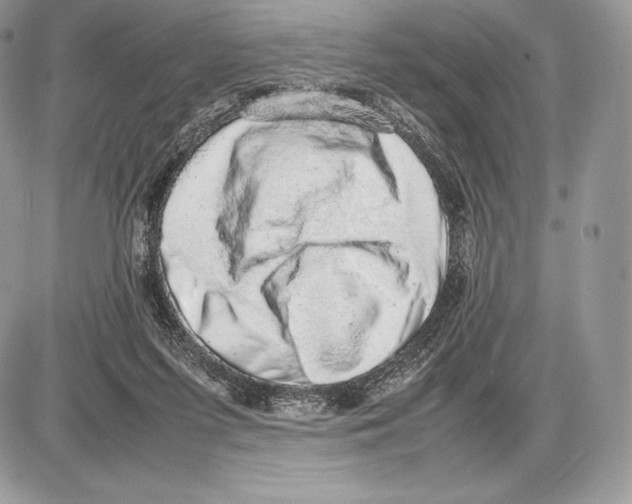 X0000085780215200704131837