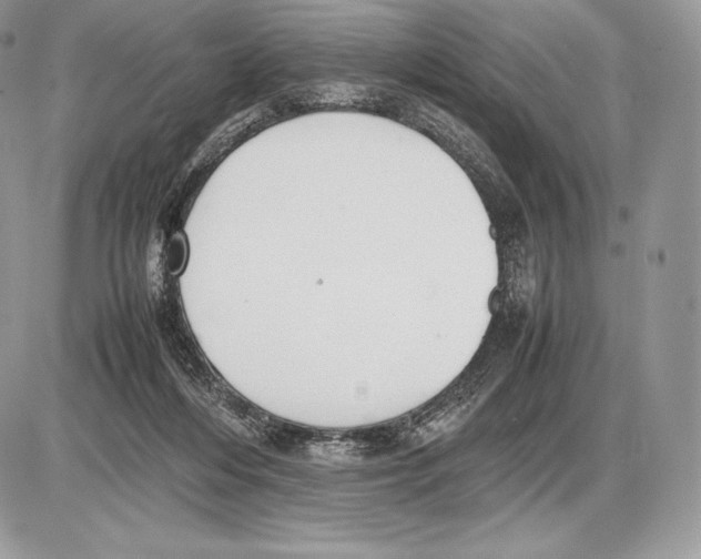 X0000085780216200704131837