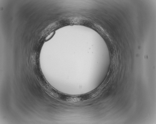 X0000085780217200704131837