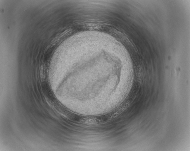 X0000085780218200704131837