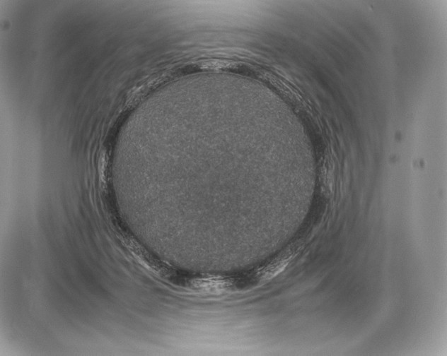 X0000085780219200704131837