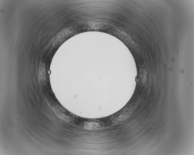 X0000085780220200704131837