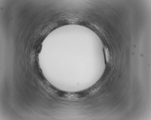 X0000085780221200704131837