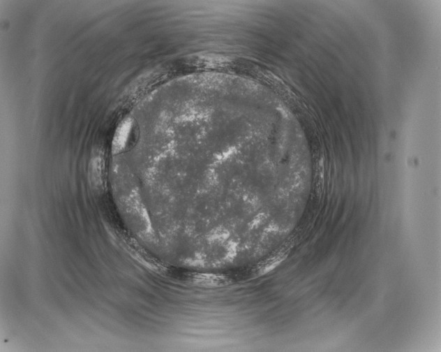 X0000085780222200704131837