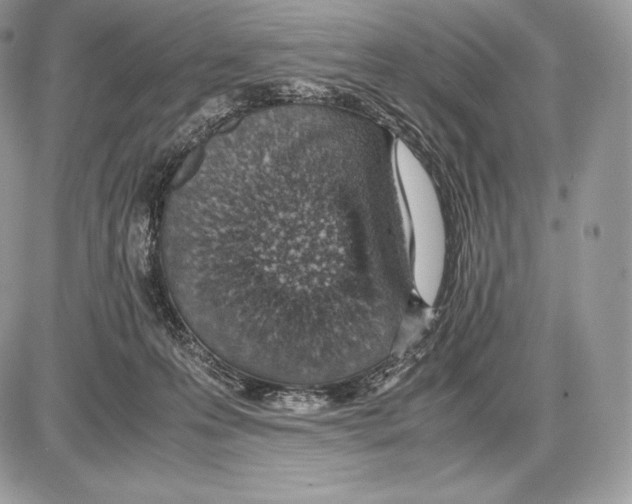 X0000085780223200704131837