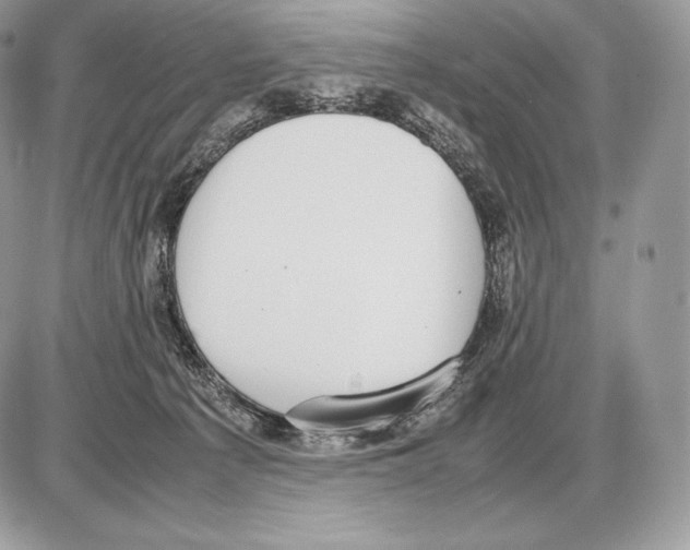 X0000085780225200704131837