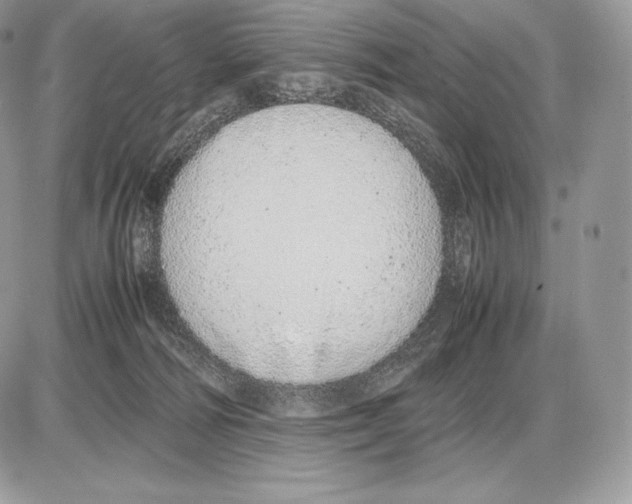 X0000085780226200704131837