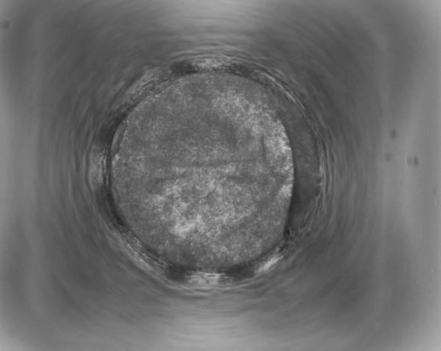 X0000085780227200704131837