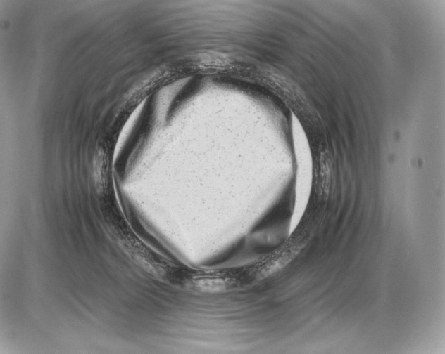 X0000085780228200704131837