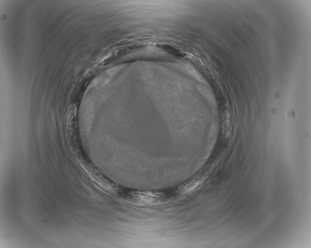 X0000085780229200704131837