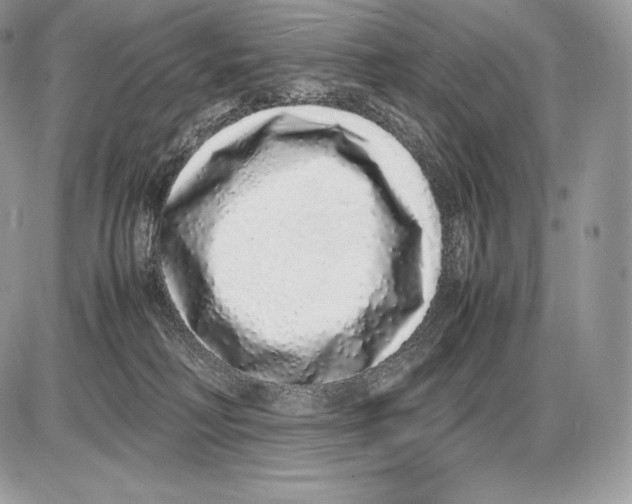 X0000085780230200704131837