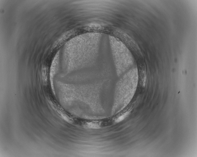 X0000085780232200704131837