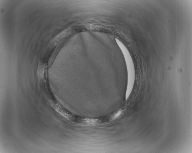 X0000085780233200704131837