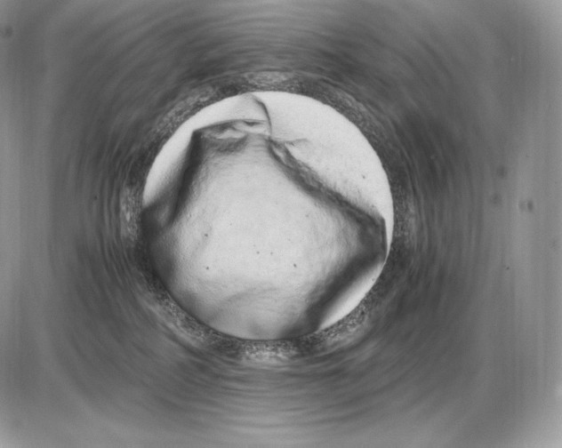 X0000085780234200704131837