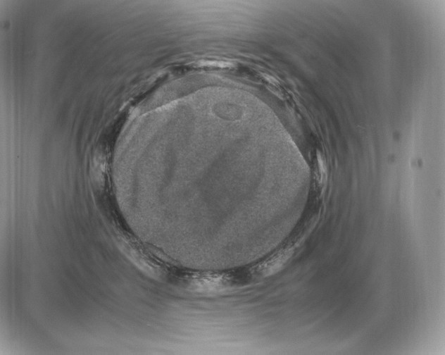 X0000085780235200704131837