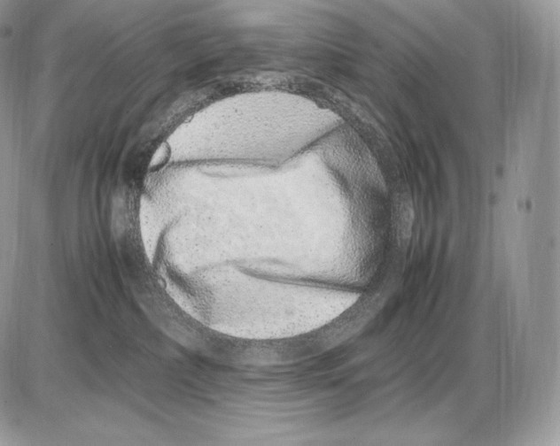 X0000085780236200704131837