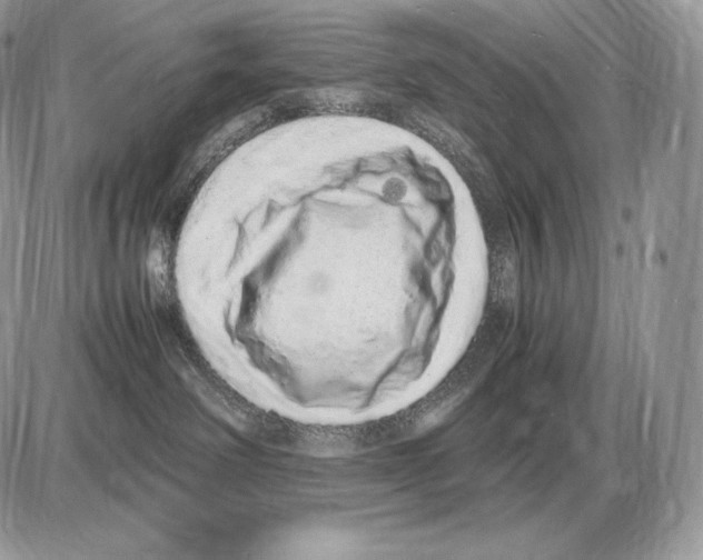 X0000085780238200704131837