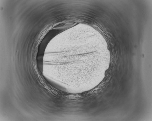 X0000085780241200704131836