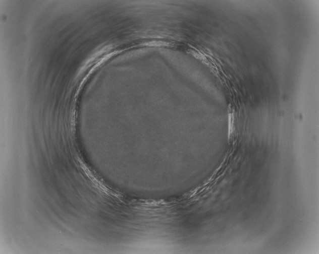 X0000085780243200704131836