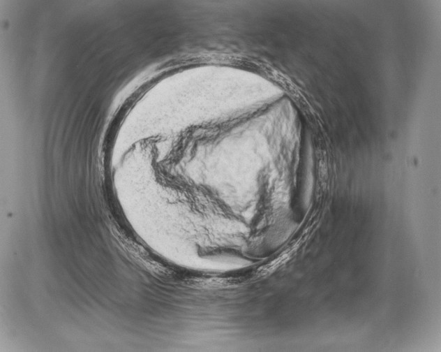 X0000085780246200704131836