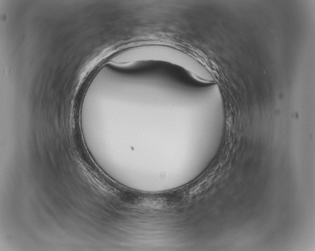 X0000085780248200704131836