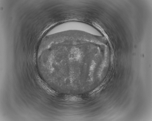 X0000085780249200704131836