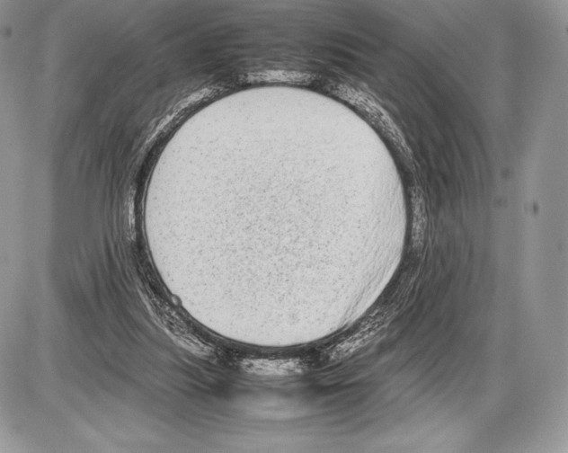 X0000085780251200704131836