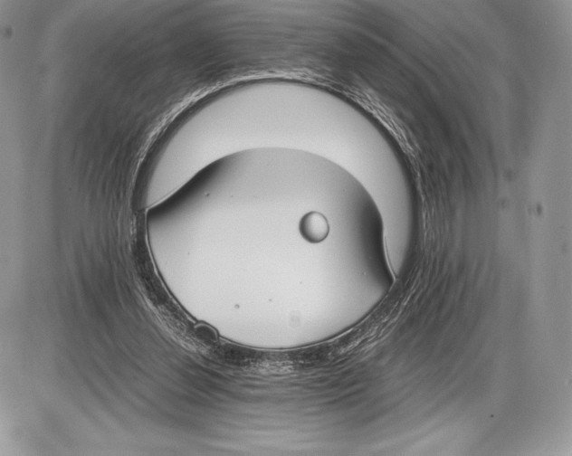 X0000085780252200704131836