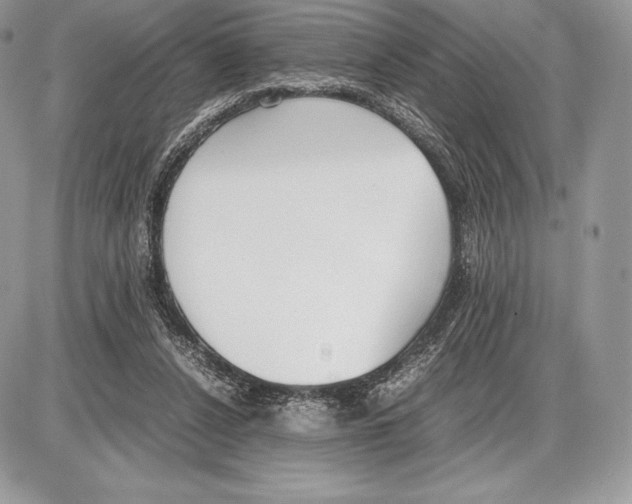 X0000085780256200704131836