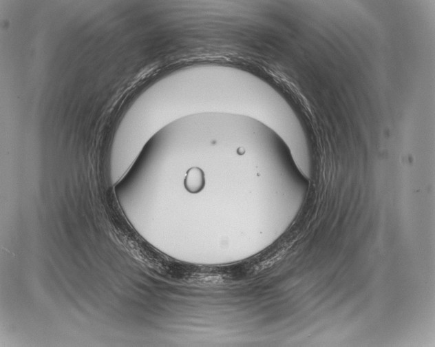 X0000085780260200704131836