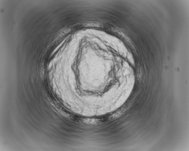 X0000085780261200704131836