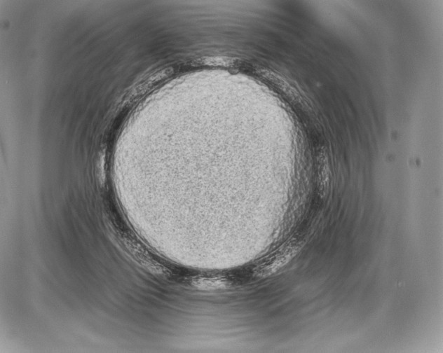 X0000085780262200704131836