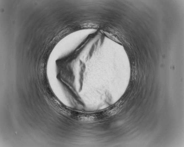 X0000085780263200704131836