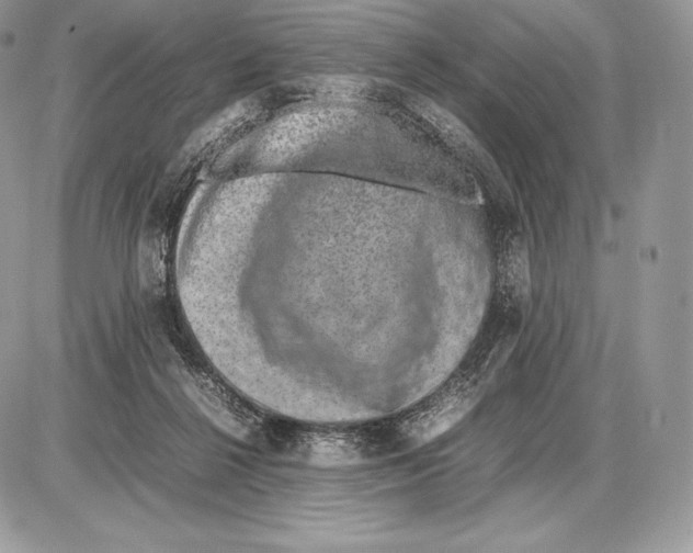 X0000085780264200704131836