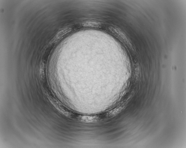 X0000085780265200704131836