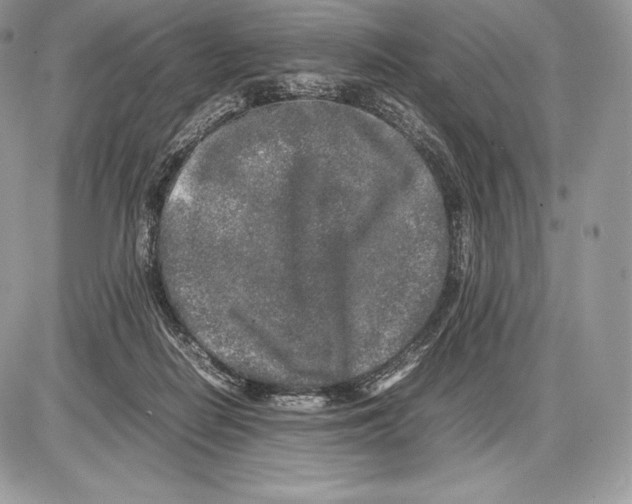 X0000085780266200704131836