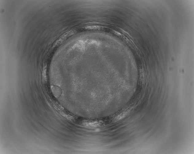 X0000085780267200704131836