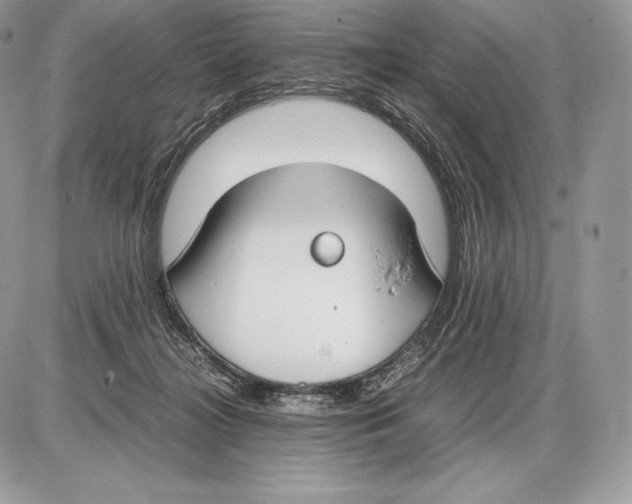 X0000085780268200704131836