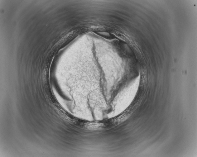 X0000085780269200704131836