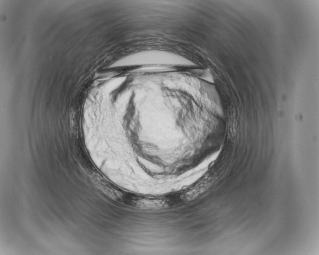 X0000085780270200704131836