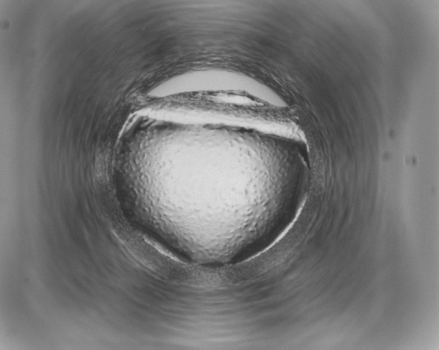 X0000085780272200704131837